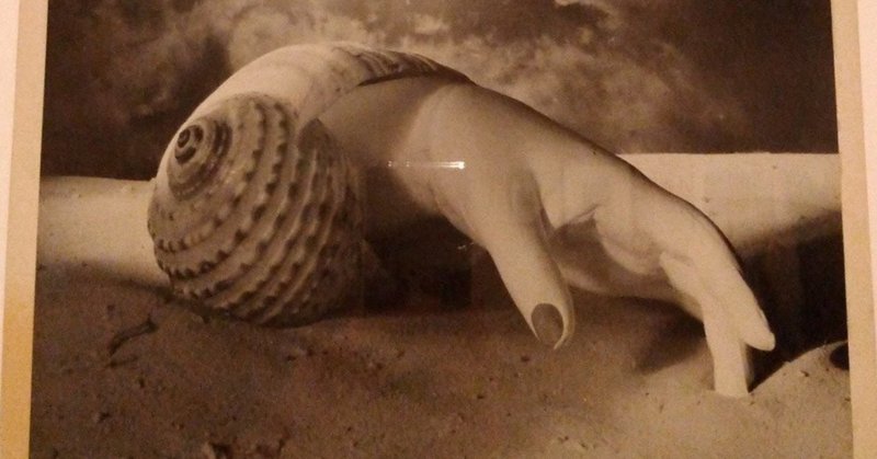 ドラ マール Dora Maar Japaneseclass Jp ドラ マール Dora Maar Japaneseclass Jp