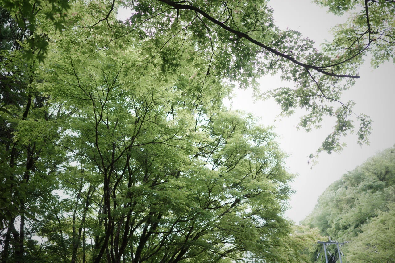 Yuro Sho-yo ~Long Distance Hiking in Japan~ Vol.35 A Brief Digression ③ ...