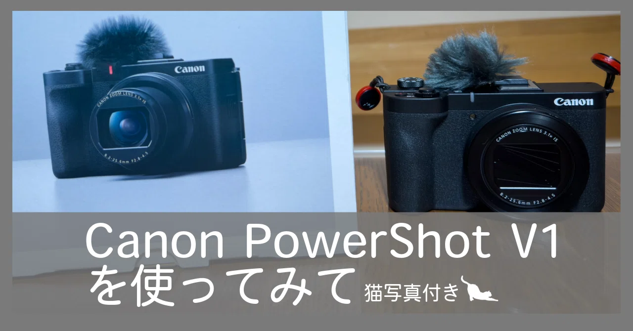 Canon PowerShot V1を使ってみて-猫写真付き-｜Xinn