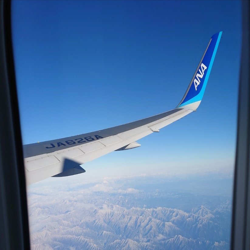 解説】ANAのSFC修行で使ったルート｜フンババ