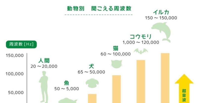 最新！2024年5月〜2025年1月サピックス2年フルセット全6回原本