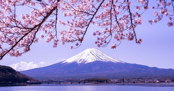 メーカー直売 - 人気ランキング 富士川河川敷からの富士山｜trpe 絵画
