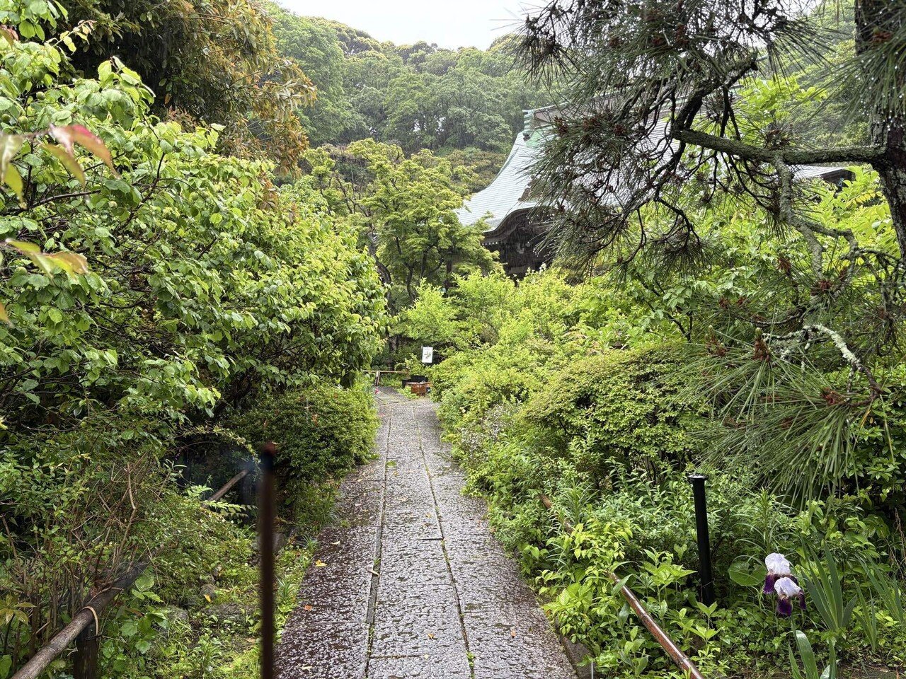 鎌倉・江ノ島へお散歩 中編｜いつけい