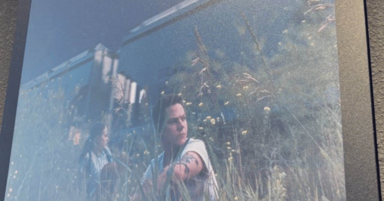 【映画評】『メイデン』、「だいじょうぶだよ」をきかせて。レインウォッチャー