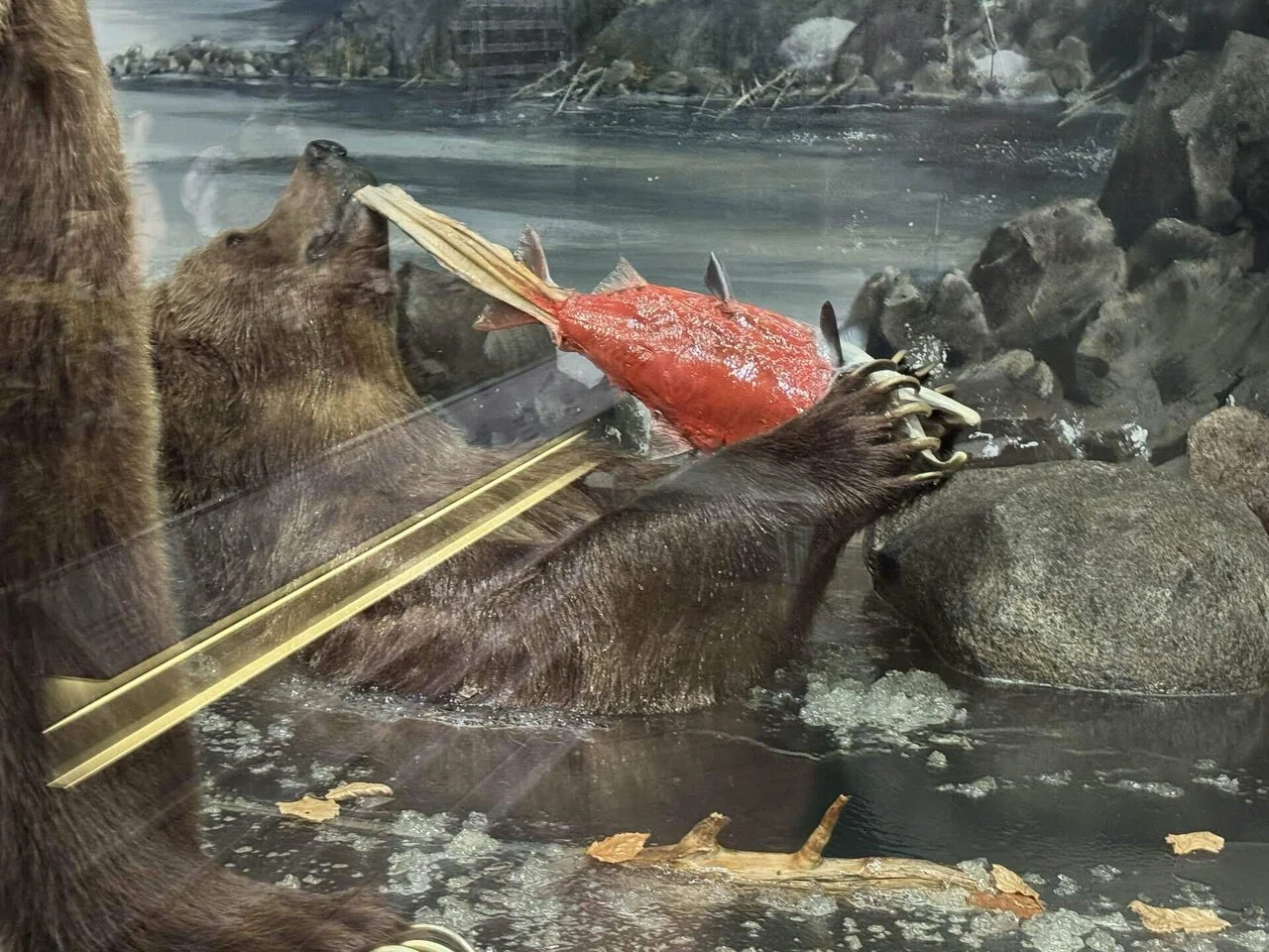 🇫🇮 Parenting] I visited the zoo and the Natural History Museum