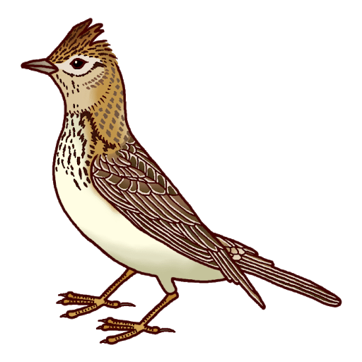 第817回 野鳥のまたの名前 翆野 大地 Note