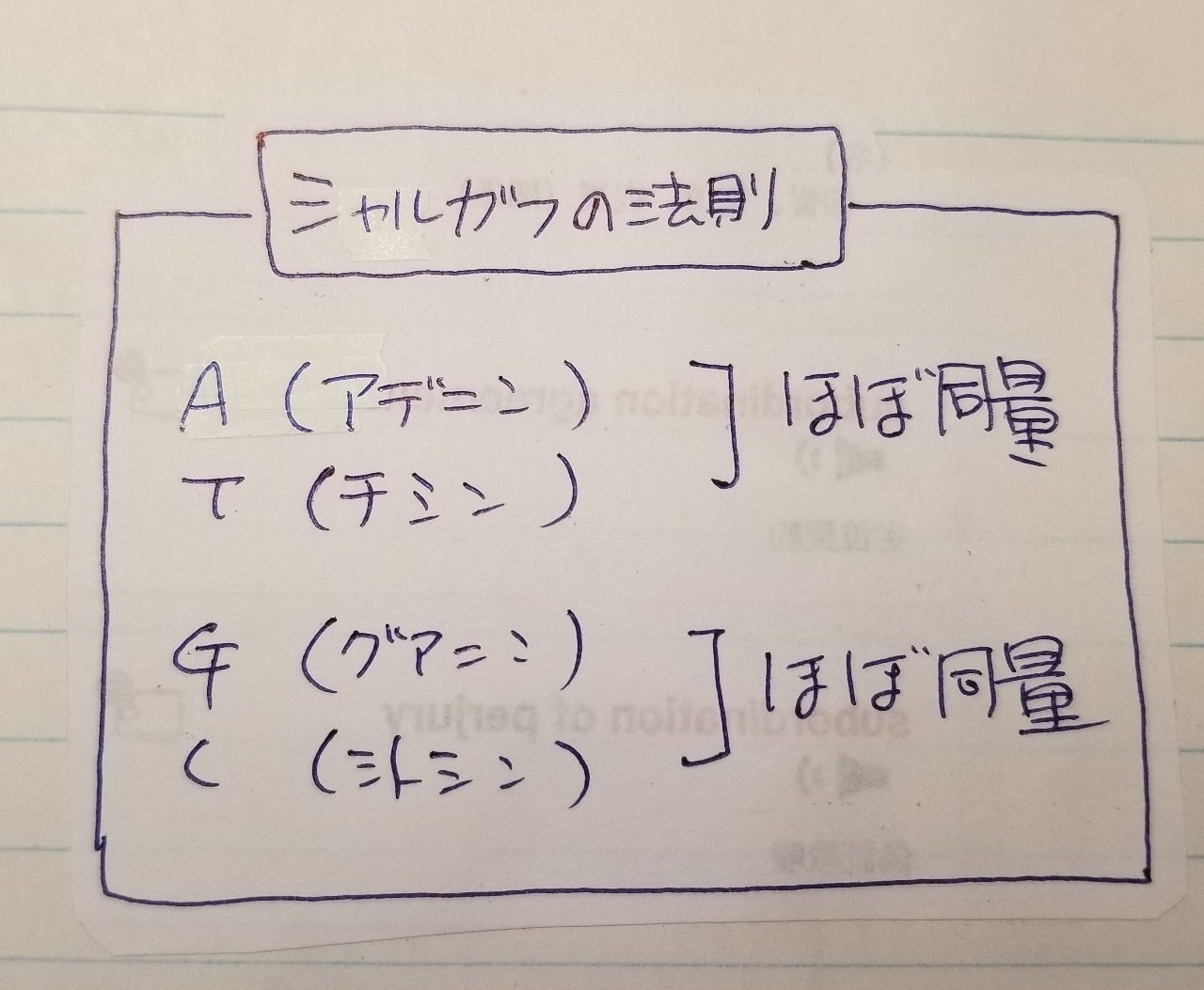 細胞の中の分子生物学 第１章 ６ Ma Mason Note