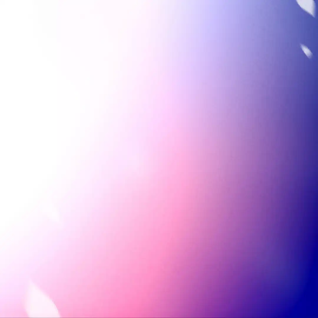 L'arbre 藤井ちひろ