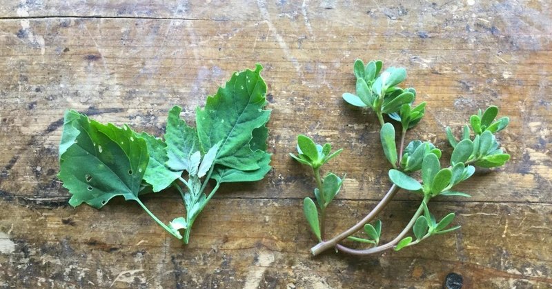 暦と養生 春の初めは肝を助ける Takafumi Tomita Note