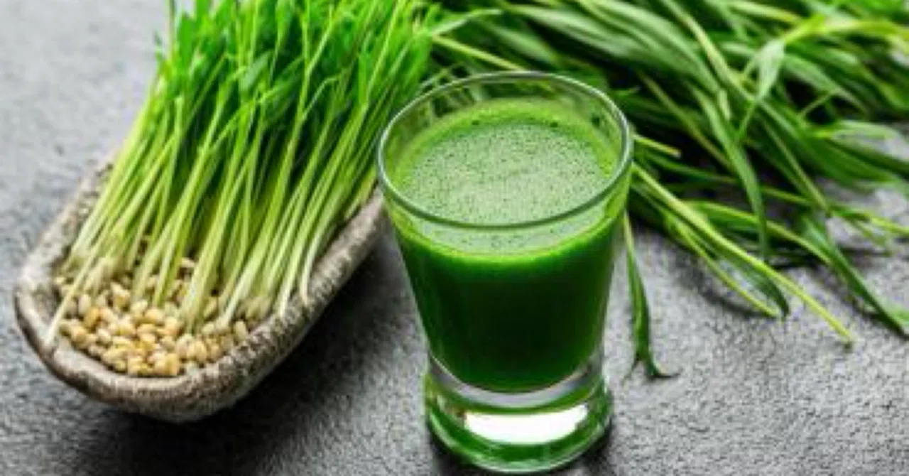 最新｜免疫、脳、心臓の健康における植物栄養素豊富なスーパーフードの役割