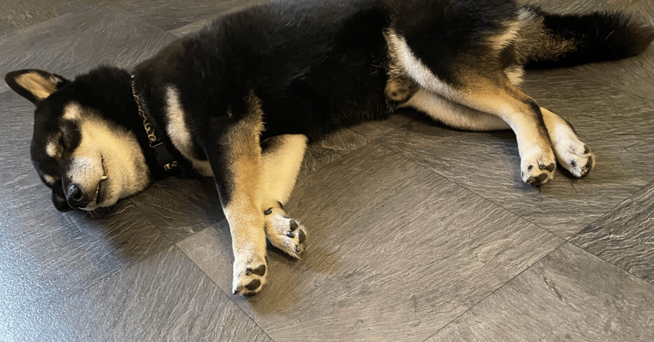 【簡易版】3つの特徴量だけでカロリー予測モデルを作ってみた!かつ