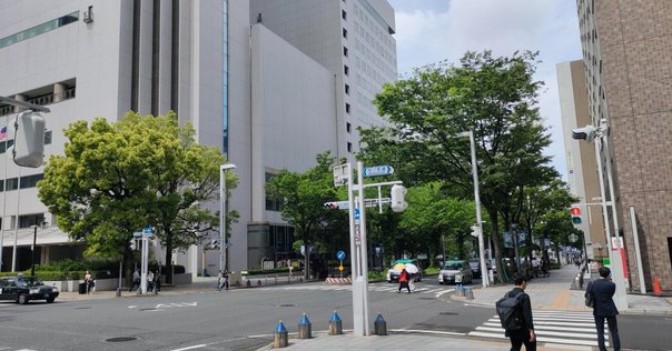 柔術教則レビュー「森戸新士 ワンレッグX ドミナンス」（全文