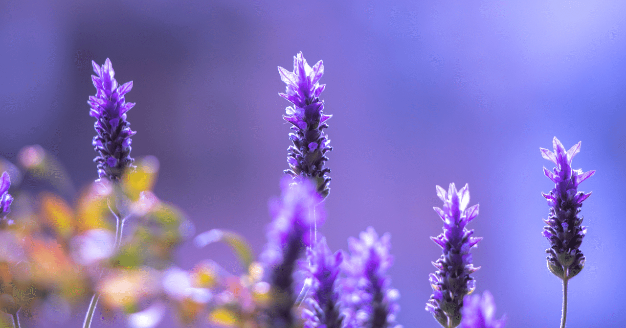 6日も引きずっているなら、一歩踏み出す勇気を持ちたい。干しぶどう