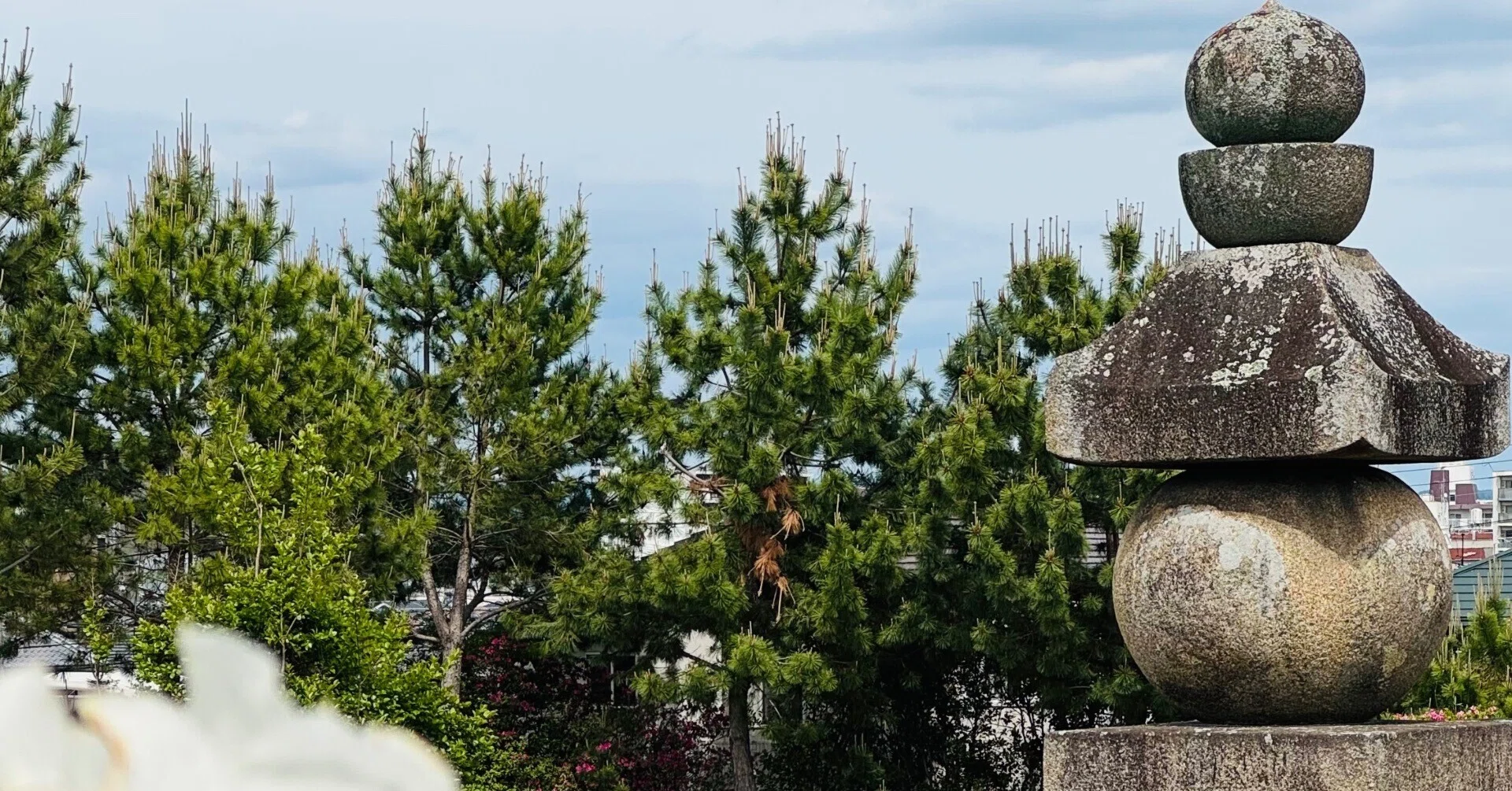 西大寺 邪鬼の向こうへ｜しかのじょう