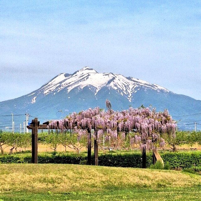岩木山の雪形と農事暦」ポッドキャスト｜青森太郎（ソウマ シンキチ）