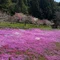 愛馬　かける