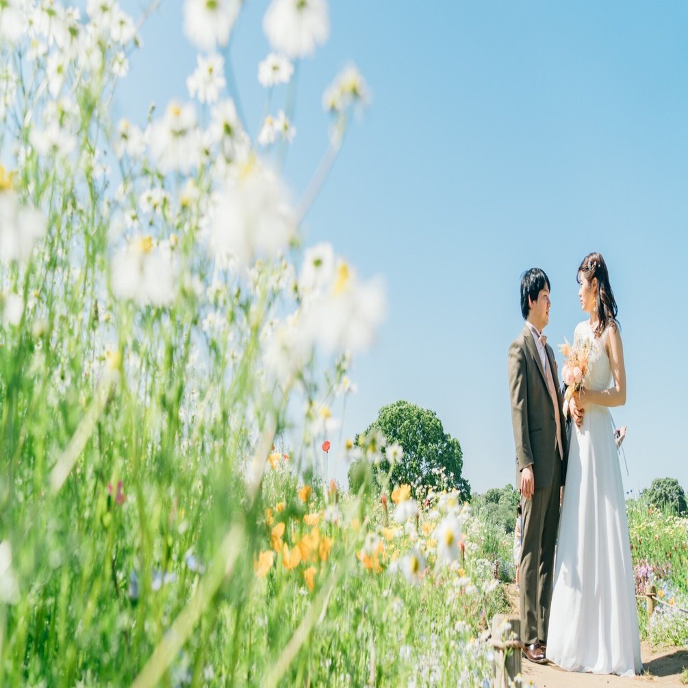 結婚式前撮り】ネモフィラ・ひまわり・コスモス…季節のお花畑フォト