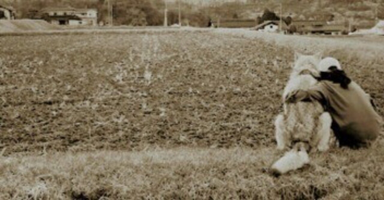 野良ナ者ハンス