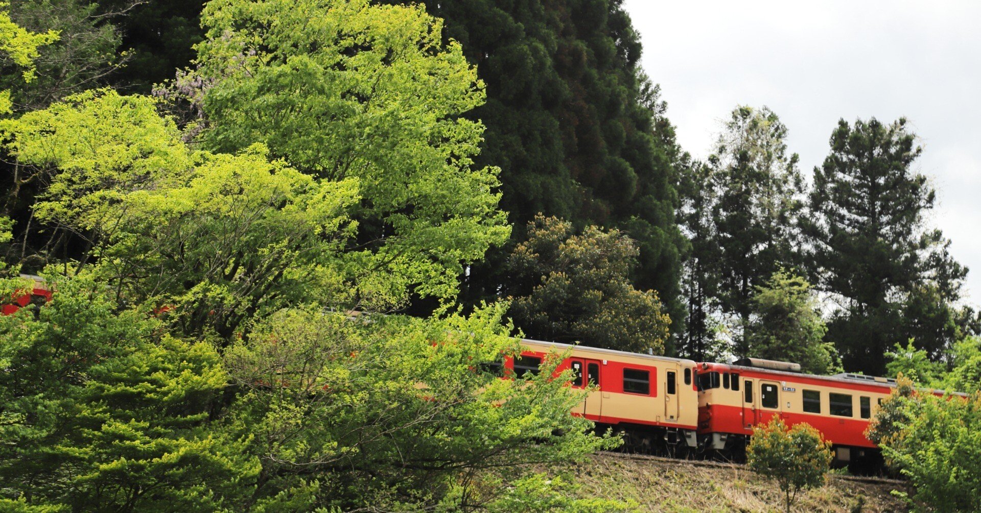 2025.5.10 新緑の因美線「みまさかスローライフ列車」を撮る｜京キト