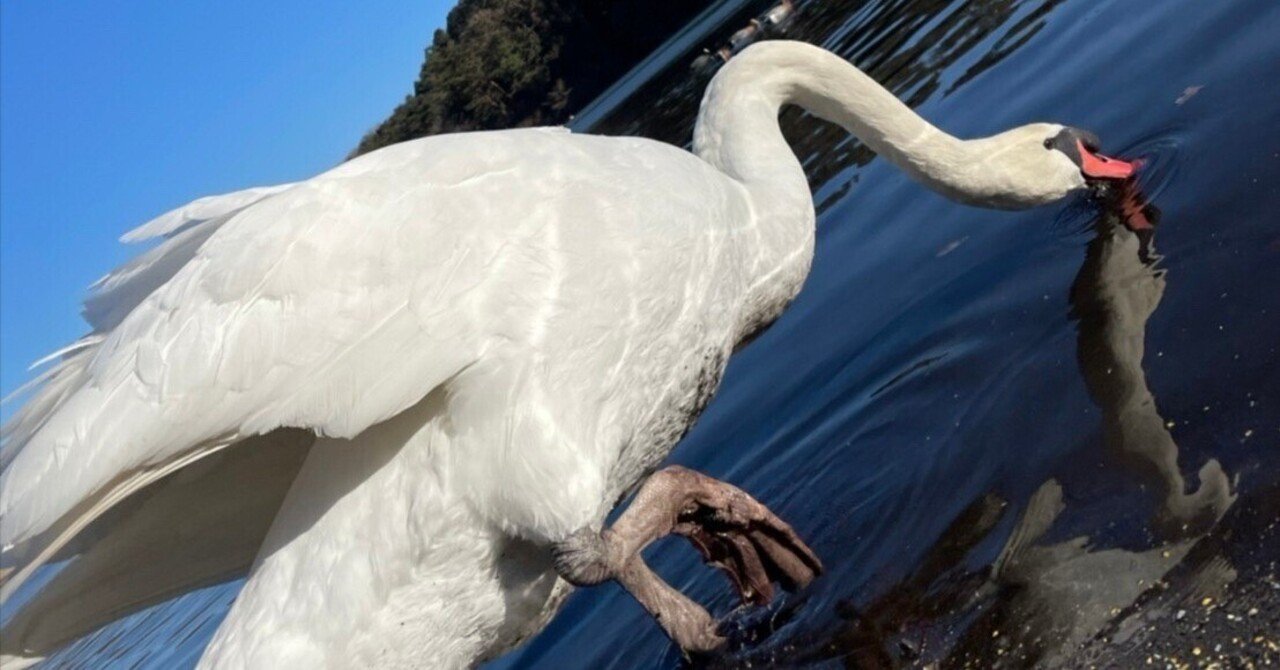 【株式銘柄分析】野村ホールディングス (8604)- 2025/5/18charly bob@投資初心者