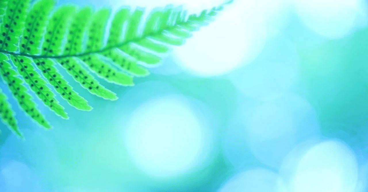 これをお前がやったんだろ「何の副業を選ぶべき?」が明確になる“自己分析”seika