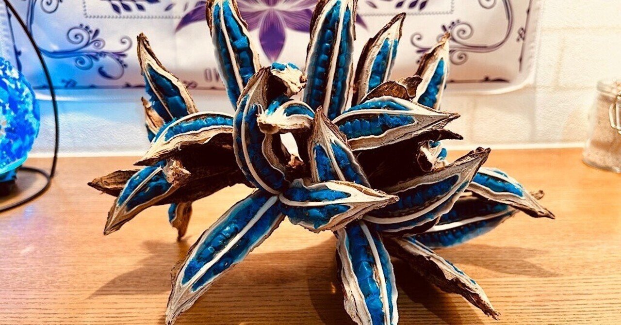 宝石のような種をつけるタビビトノキ｜石垣島の美しい川平湾で「神事の