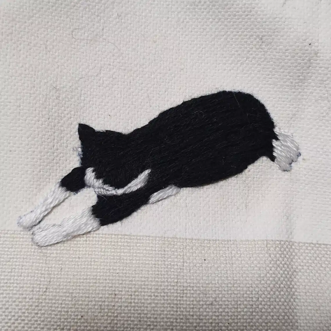nanxi