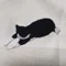 nanxi