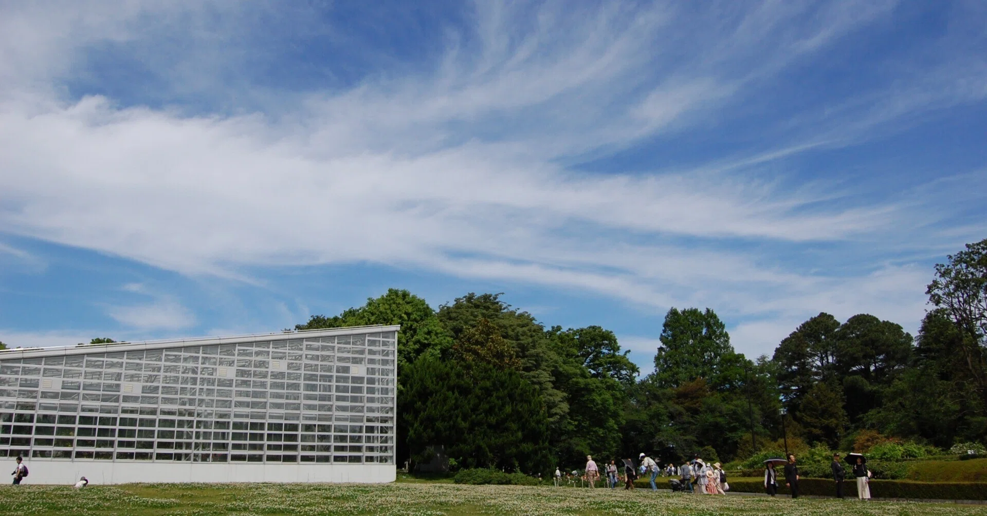 神代植物公園でバラ撮影 Nikon D40｜ponchan