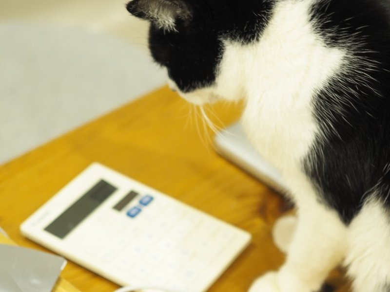 保護猫コロ子がbath Herbのパッケージに Love Co Note