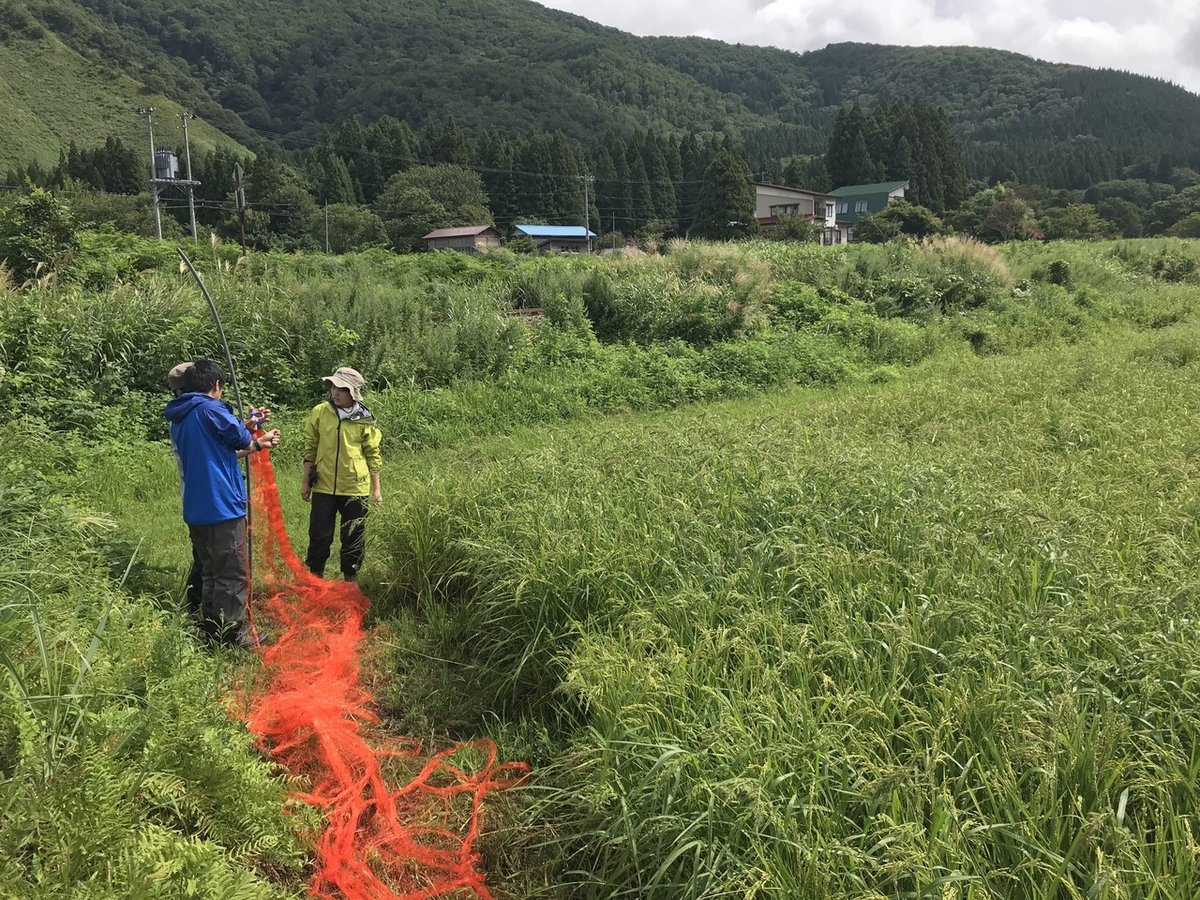 鳥よけネット設置