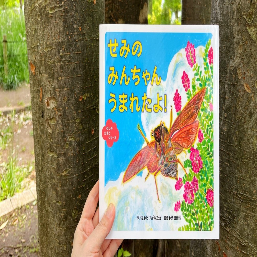 生まれてから、命をつぎにつなぐまで――絵本『せみの みんちゃん うまれ