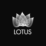 Lotus TV (中の日本の人）