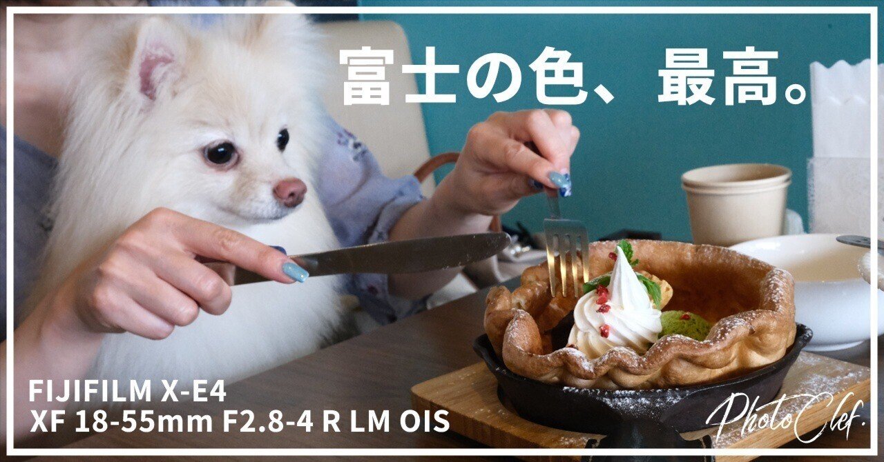 X-E4で愛犬を撮ったら過去最高の感動だった話｜PhotoClef. | Yuz.