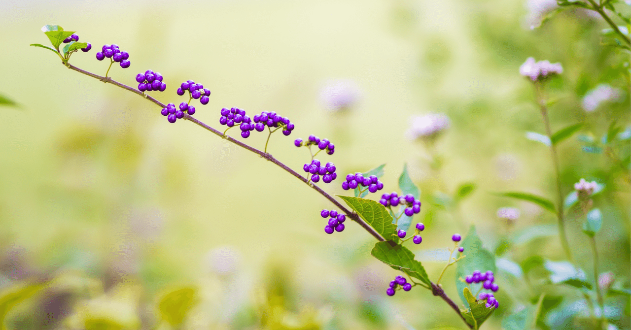 【副業が続かないあなたへ】挫折理由を徹底解剖!今日からできる継続の秘訣ひろさん