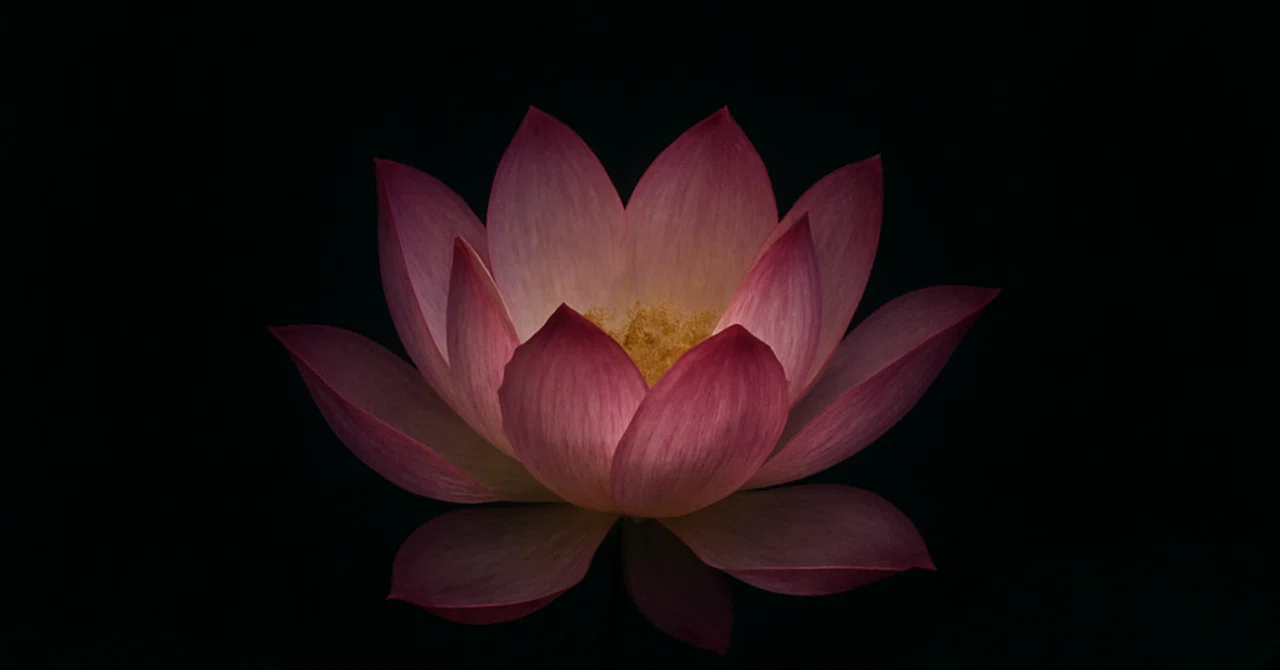 「闇の中に咲いた蓮の花」――占い師・瑞蓮の魂の物語｜瑞蓮（ずいれん）の占い処