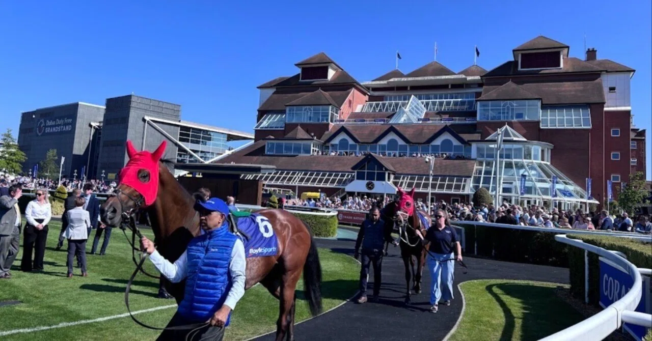 海外競馬鑑賞】英・ニューベリー競馬場│Newbury Racecourse｜Kotaro S