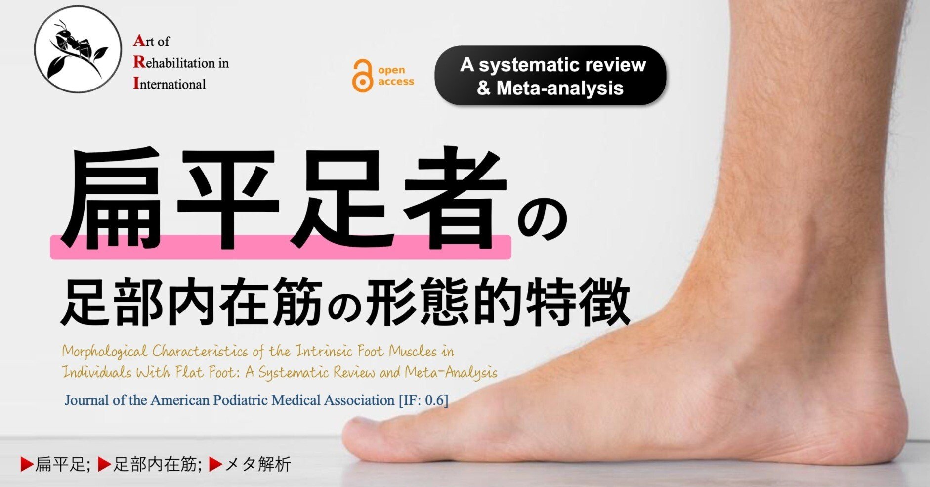 臨床足装具学 生体工学的アプローチ/医歯薬出版株式会社