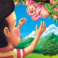 １日１コビト紹介 ワカイトキダケ こびとづかん公式note Note