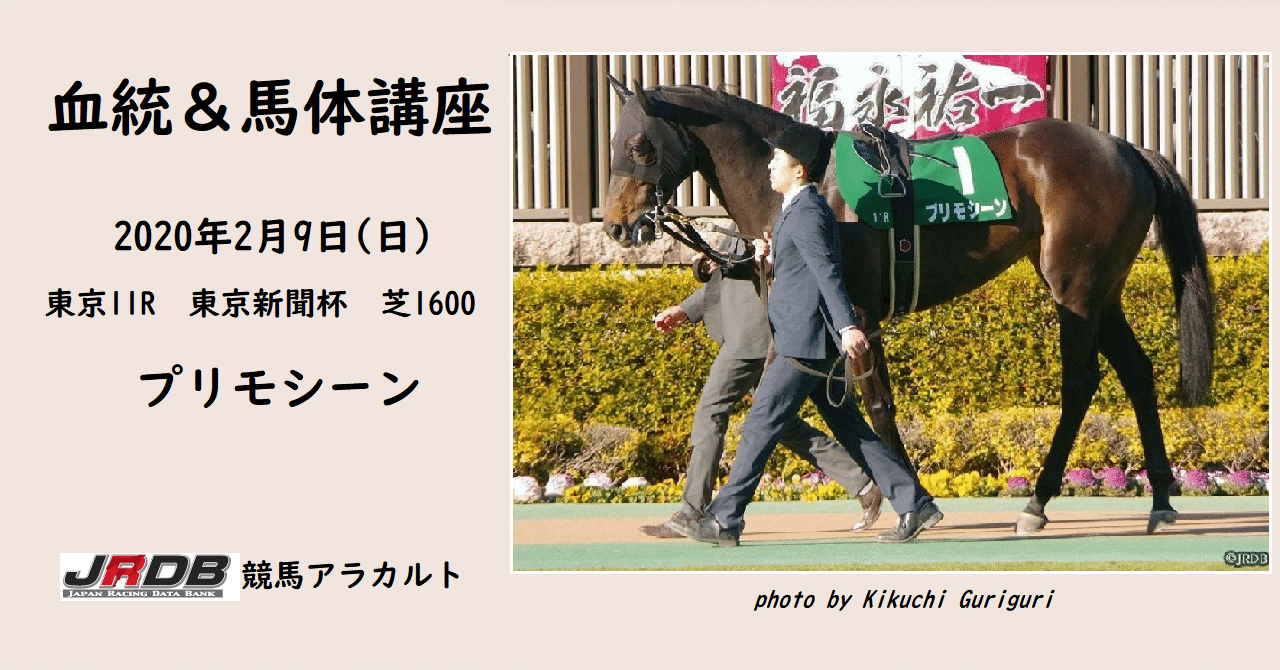 血統 馬体講座 プリモシーン 東京新聞杯 Jrdb 競馬アラカルト Note 血統 馬体講座 プリモシーン 東京新聞杯 Jrdb 競馬アラカルト Note