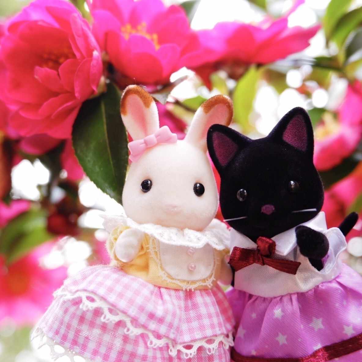 シルバニアファミリー公式が名前を公表したことに関して 涼風 あきな Note