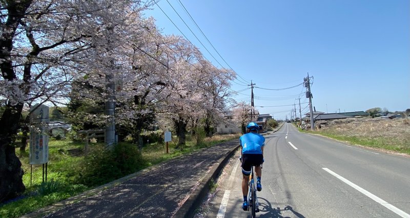 BIKE SHOP FORZA ロードバイク - カーボンホイール｜BIKE SHOP FORZA