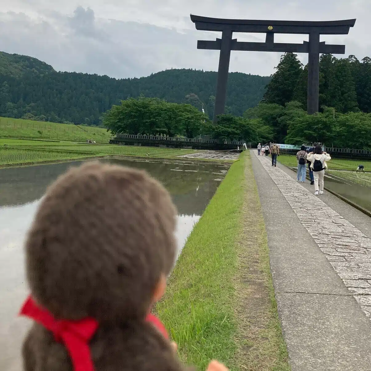 にこにこさん