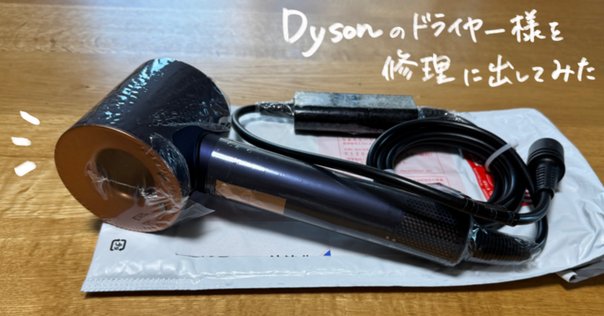 2025年5月追記・更新版【失敗談】海外旅行先でもdysonの