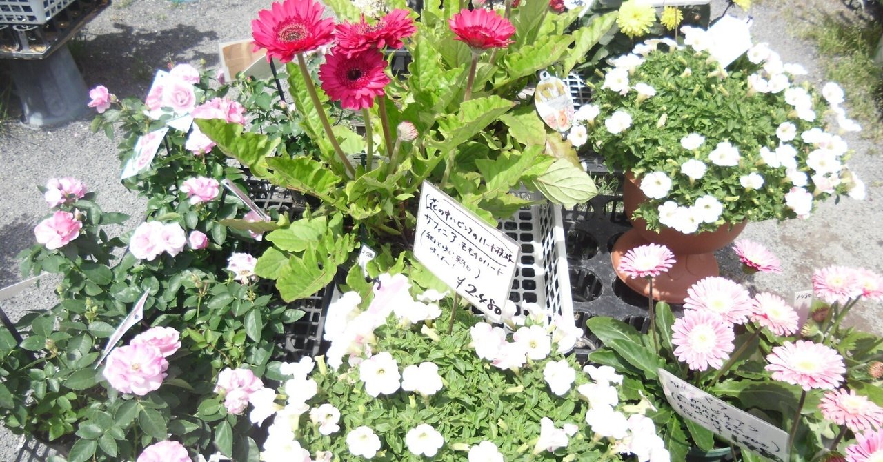 【5分で理解】もうDXで悩まない!Notion AIで業務が激変する理由とは?エスアール・タガワ・