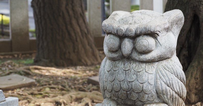 嫌われるのが怖い人の特徴 ゆかり 良い言葉は未来を変える note