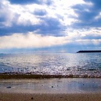 名言と愚行に関するウィキ 書籍化される みーにん Note 名言と愚行に関するウィキ 書籍化される みーにん Note