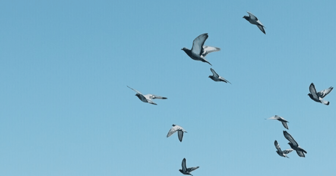 心忙しいニート日記m.