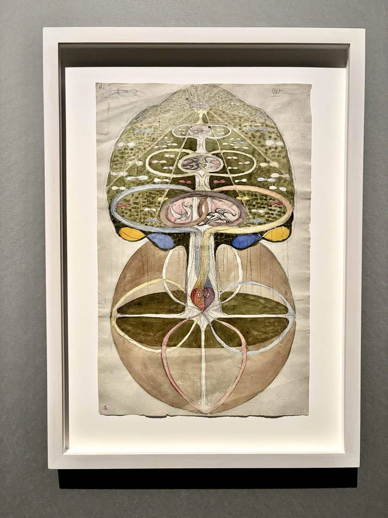 ヒルマ・アフ・クリント｜Hilma af Klint(1862-1944