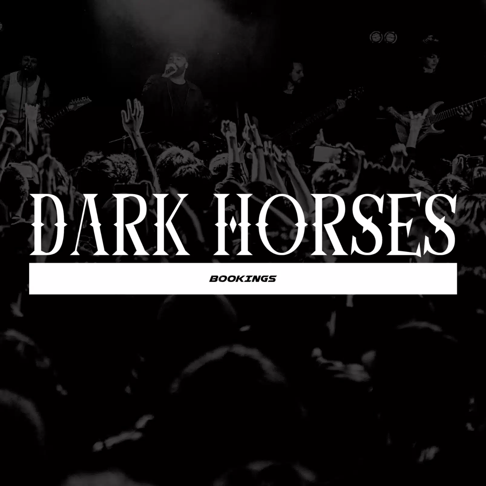 DARK HORSES